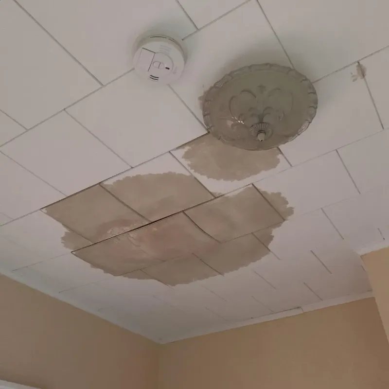 Ceiling Water Damage Repair in Monroe County, NY